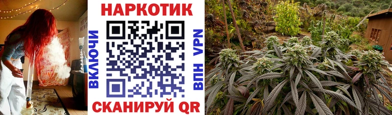 Наркошоп купить Амфетамин  Метадон  Псилоцибиновые грибы  Кокаин  Канабис  Меф мяу мяу  Нижний Ломов
